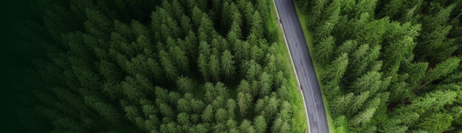 Roadtec